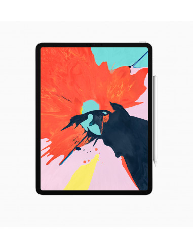 iPad Pro 11" 256GB Wi-Fi Cellular