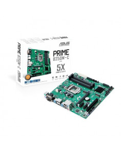B250M-C Prime mATX M.2 DDR4