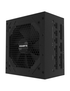 850W P850GM 80 PLUS Gold...
