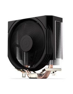 Spartan 5